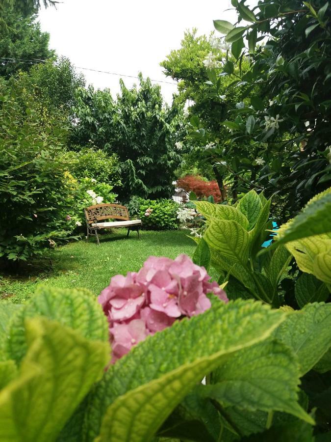 Bed and Breakfast A Casa Di Dora Тревизо Экстерьер фото